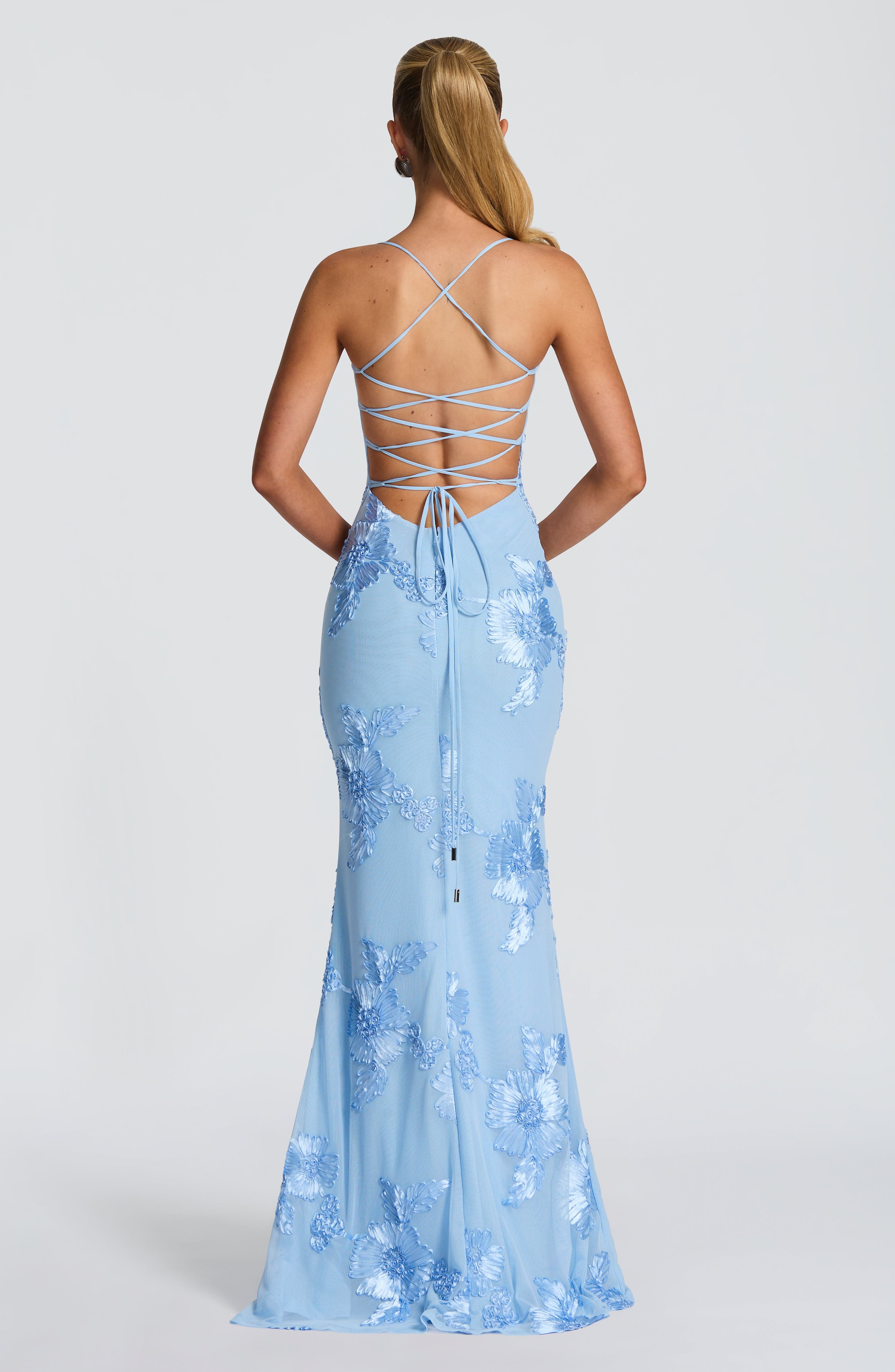Aurethi | Maxi Dress
