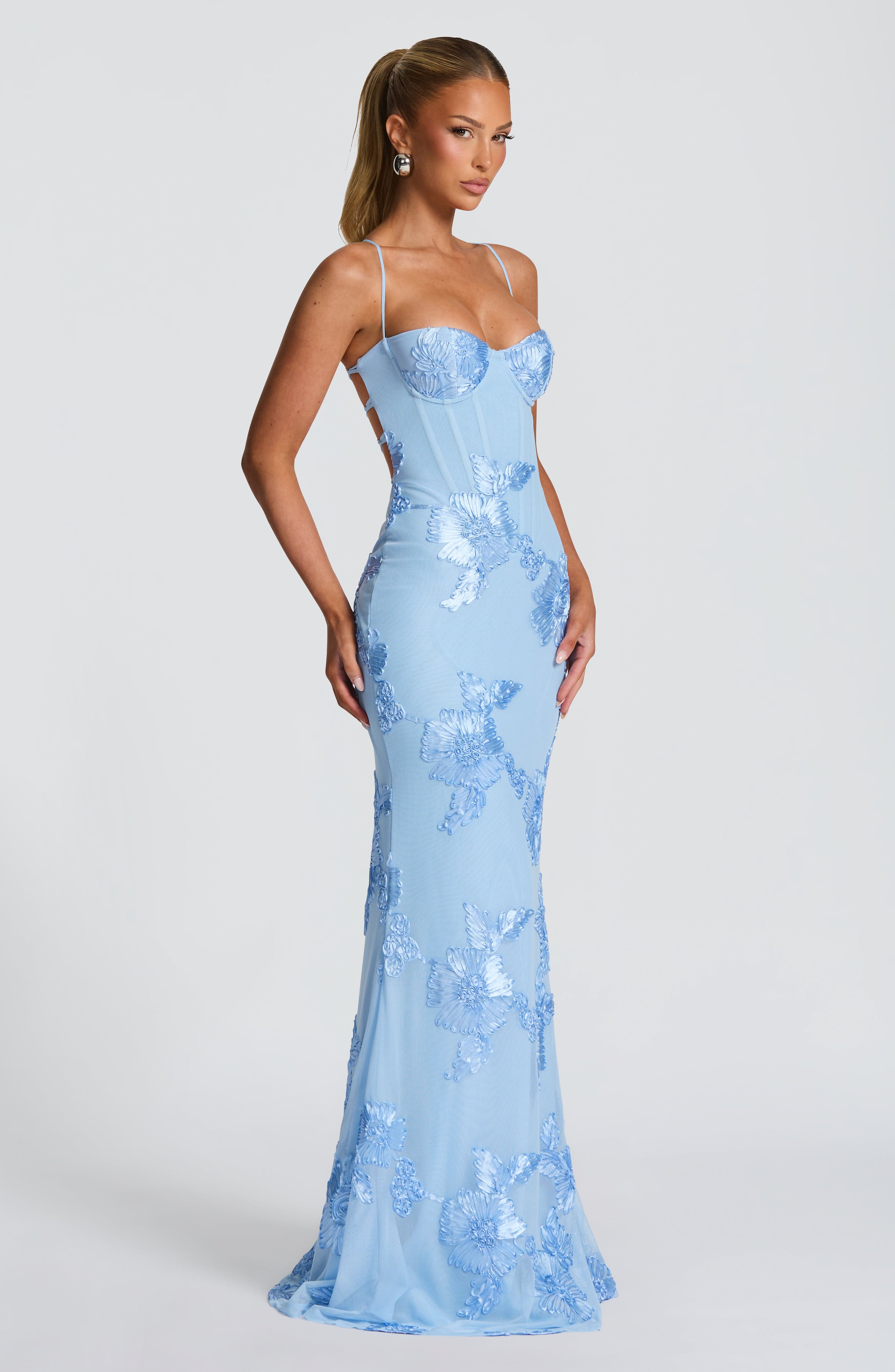 Aurethi | Maxi Dress