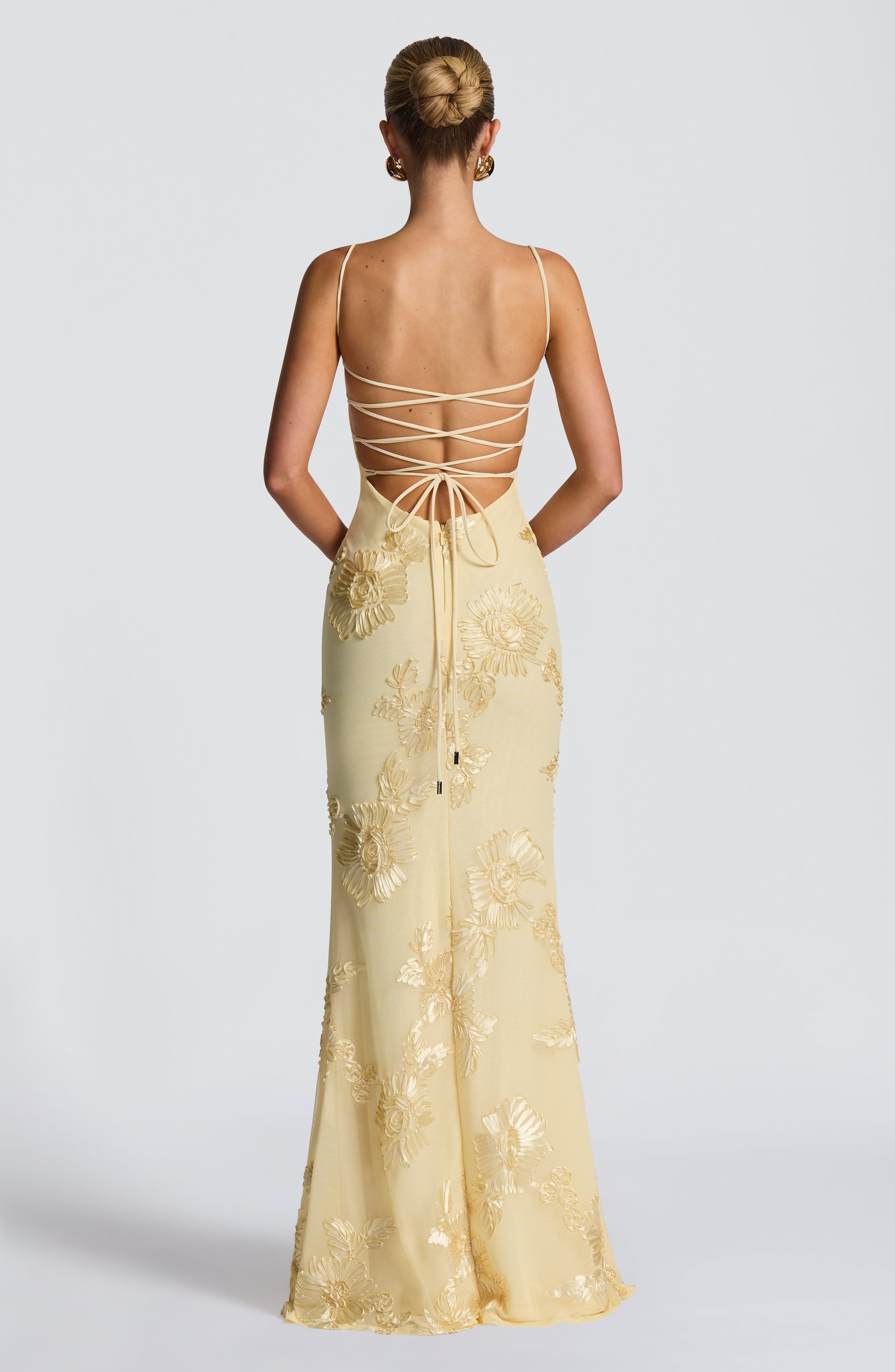 Aurethi | Maxi Dress